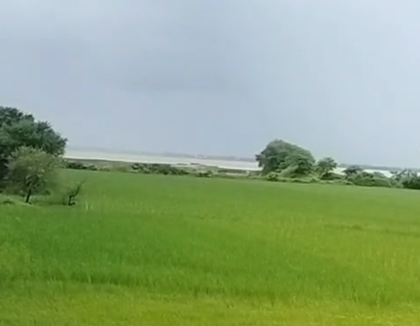 Haldia Land 