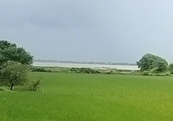 Haldia Land 